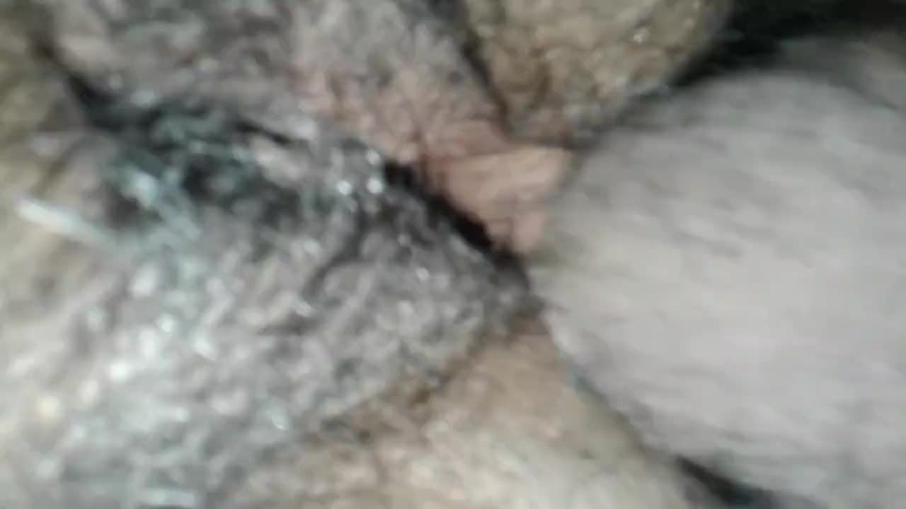 bf fucking my hairy wet pussy doggystyle
